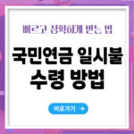 국민연금 일시불 수령 신청방법 – 빠르고 정확하게 받는 법 총정리